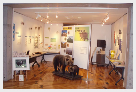 ［写真］ヒグマ展の様子