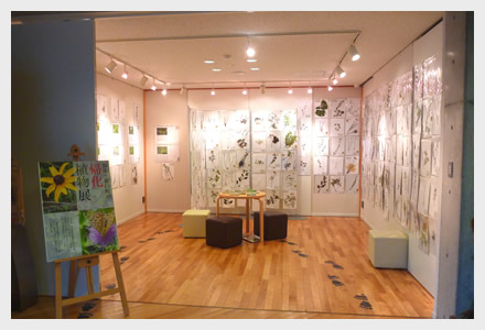 帰化植物展