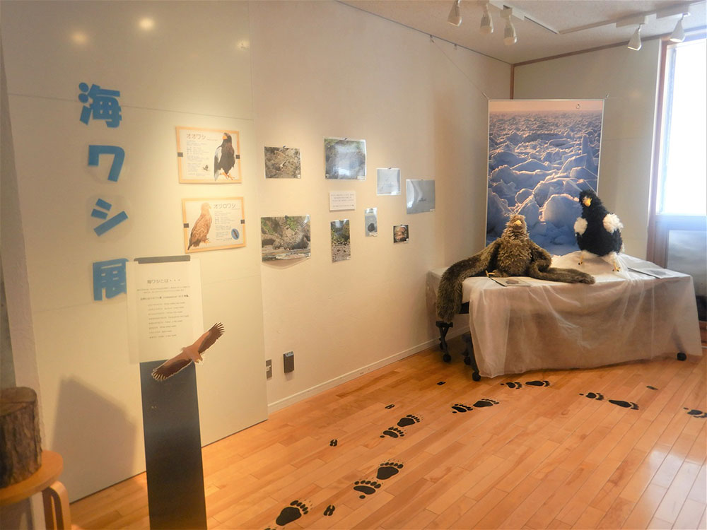 海ワシ展2